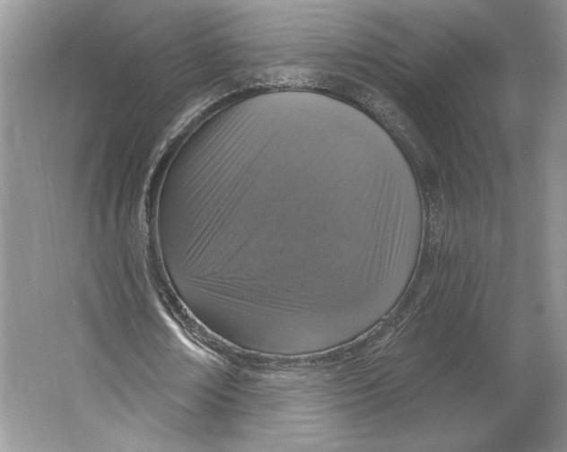 X0000064760674200603031800