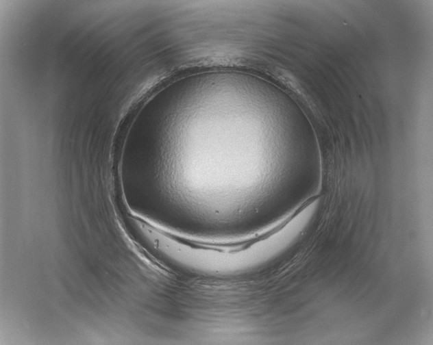 X0000064760677200603031800