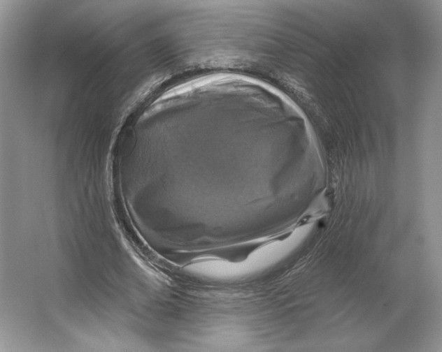X0000064760678200603031800