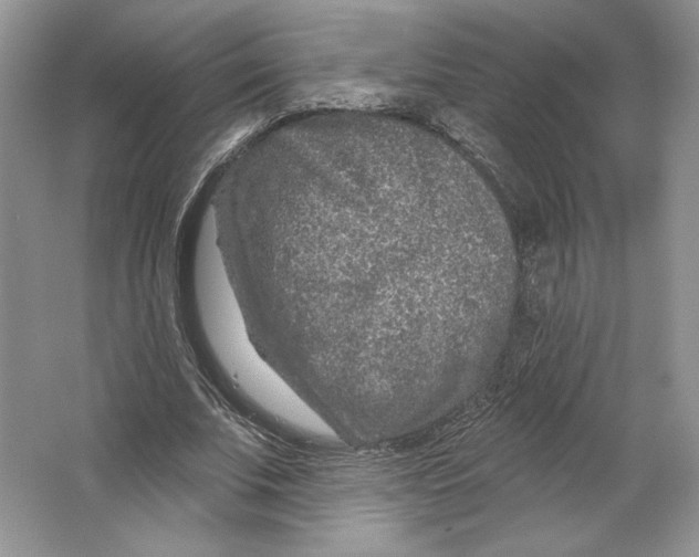 X0000064760679200603031800