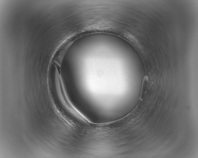 X0000064760680200603031800