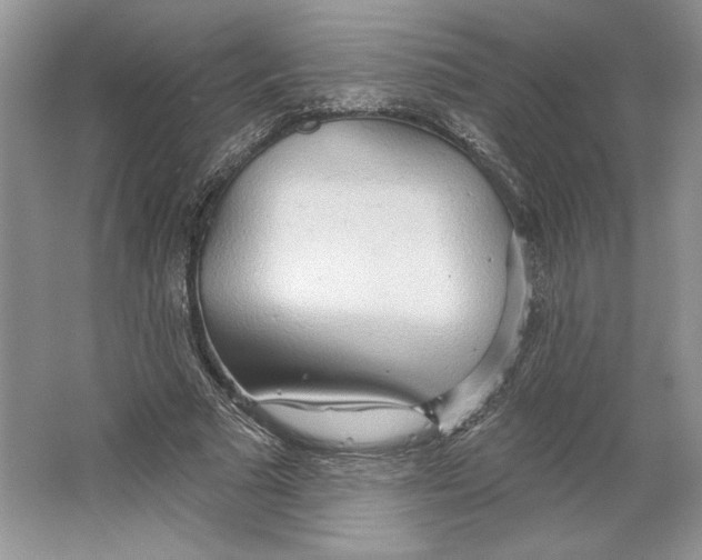 X0000064760681200603031800