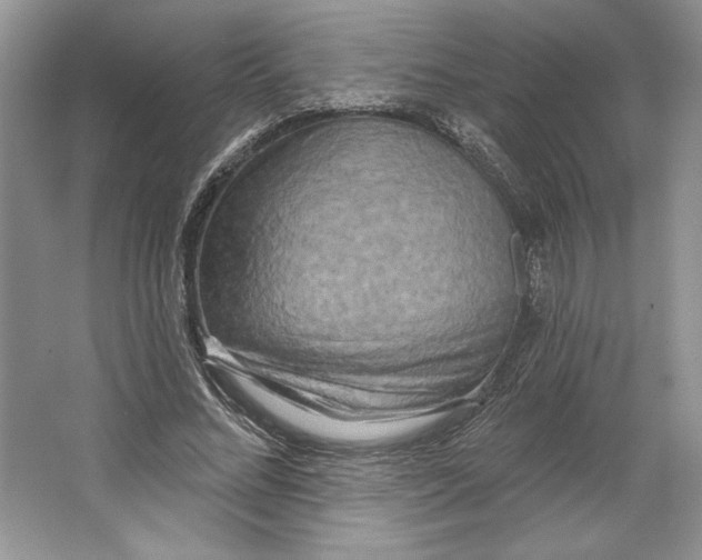 X0000064760684200603031800
