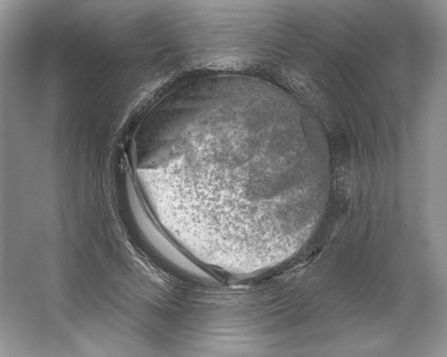 X0000064760688200603031800