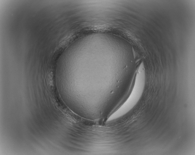X0000064760689200603031800