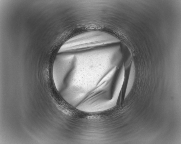 X0000064760690200603031800