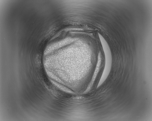 X0000064760695200603031800