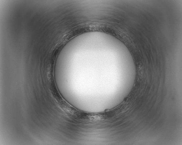 X0000064760698200603031759