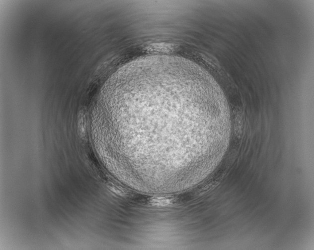 X0000064760701200603031759