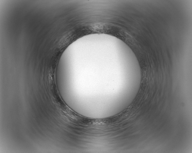X0000064760702200603031759