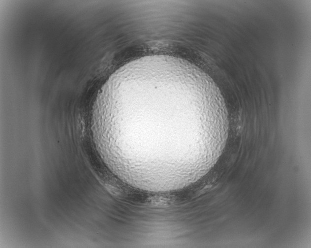 X0000064760703200603031759