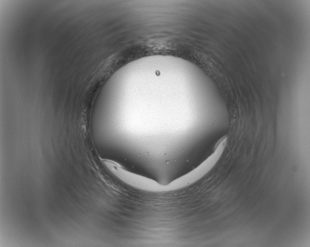 X0000064760710200603031759
