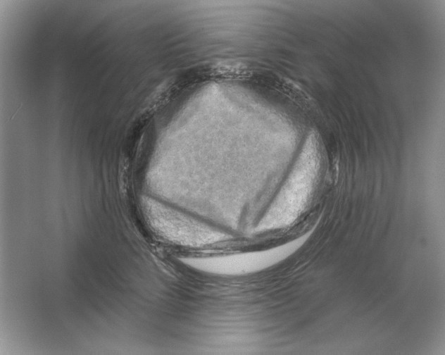X0000064760712200603031759