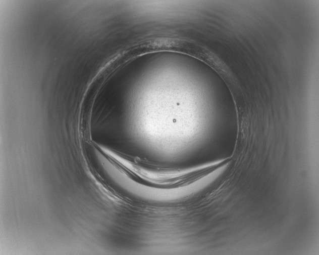 X0000064760722200603031758