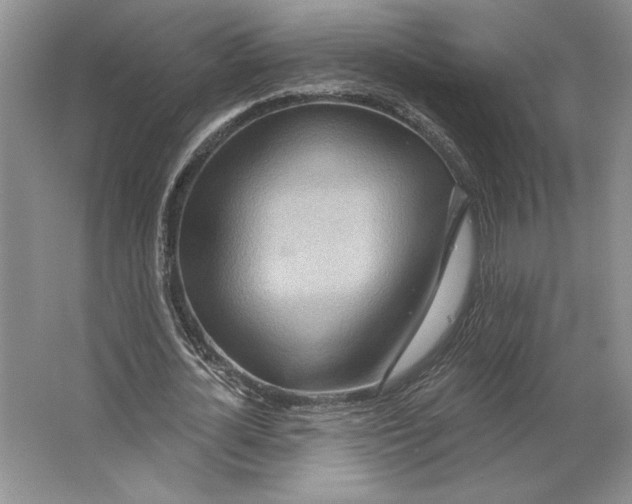X0000064760724200603031758