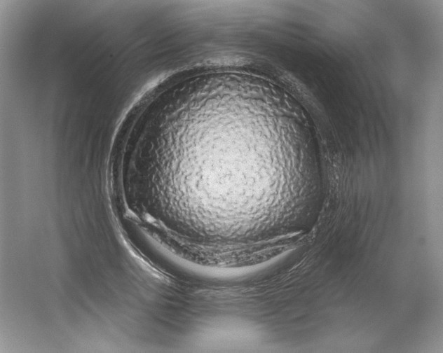 X0000064760726200603031758