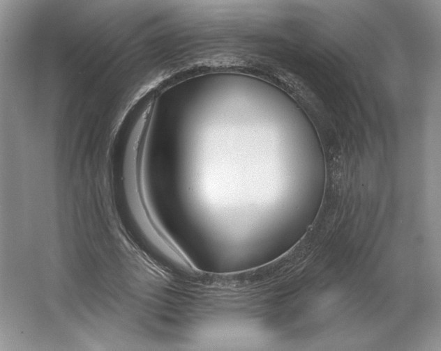 X0000064760727200603031758