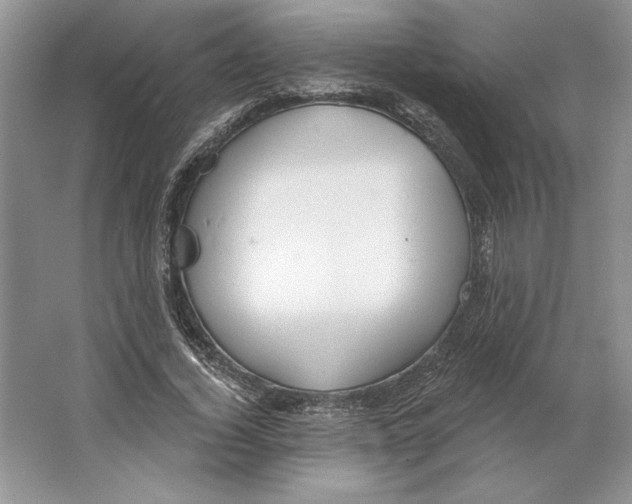 X0000064760732200603031758