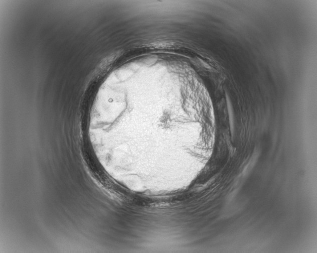 X0000064760734200603031759