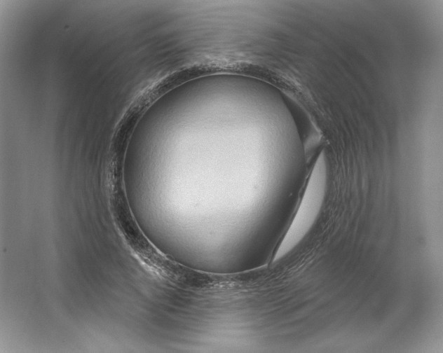 X0000064760736200603031759
