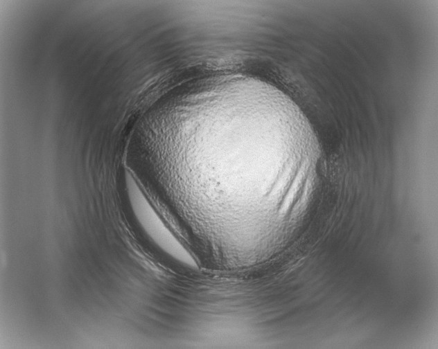 X0000064760741200603031759