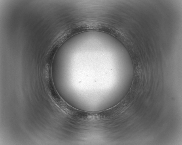 X0000064760744200603031759