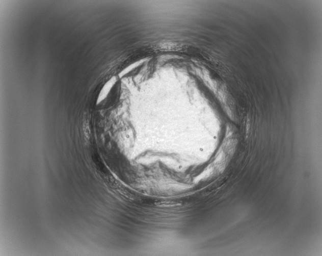 X0000064760746200603031759