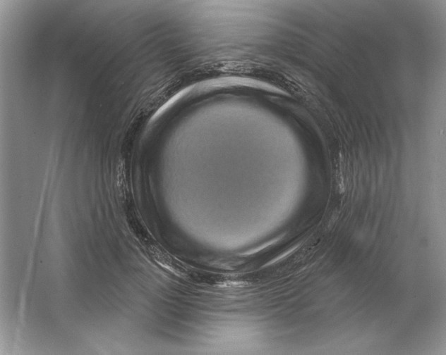 X0000064760748200603031759