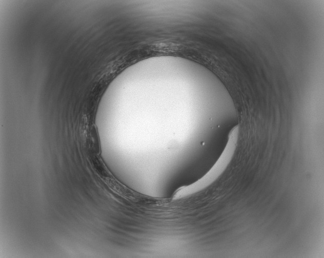 X0000064760752200603031759