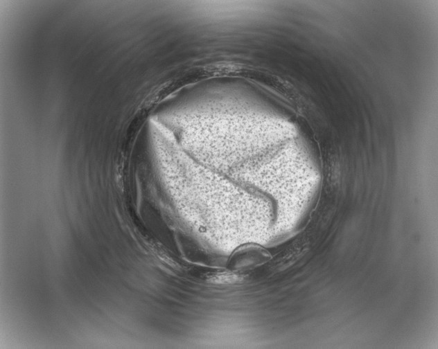 X0000064760759200603031759