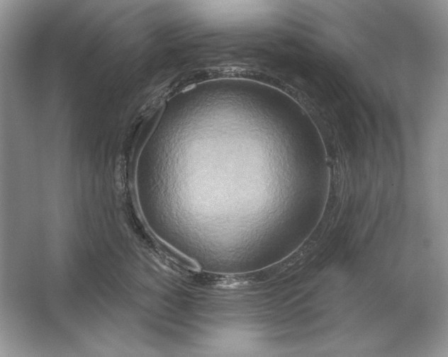 X0000064760760200603031759