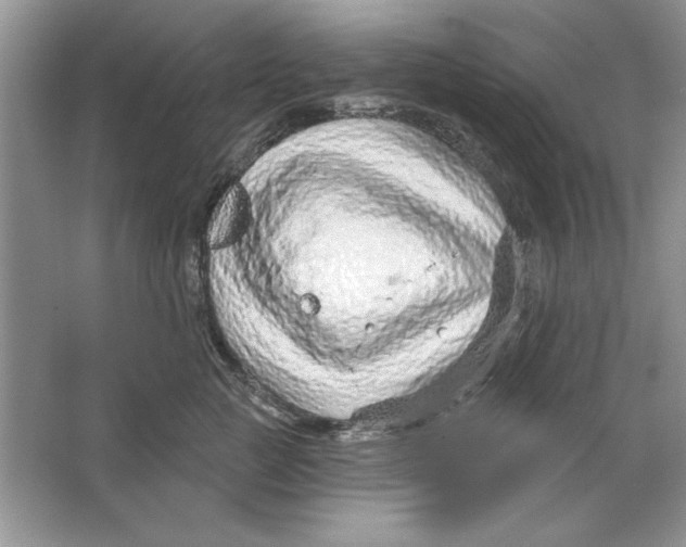 X0000064760761200603031759