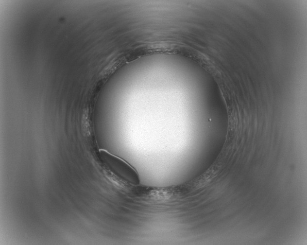X0000064760764200603031759