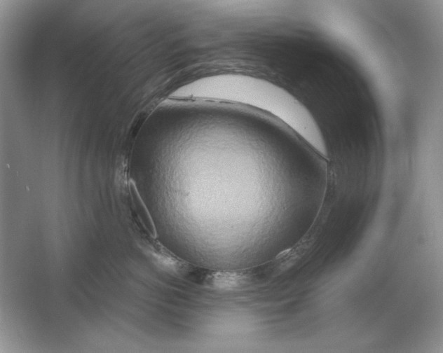 X0000064760766200603031759