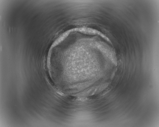 X0000064760767200603031759