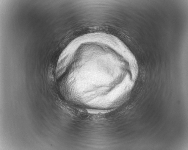 X0000064760770200603031758