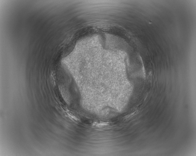 X0000064760772200603031758