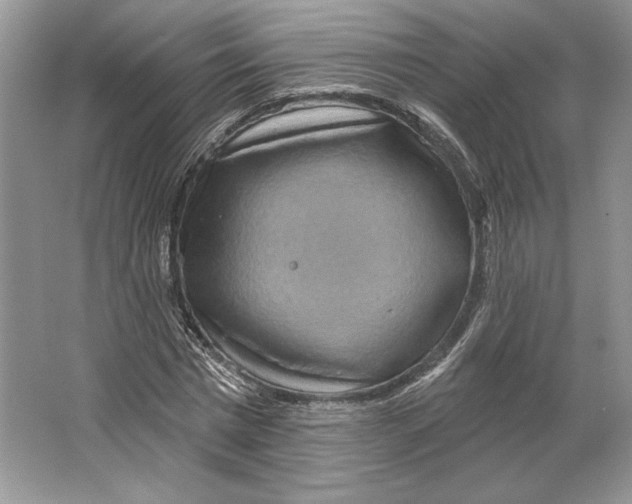X0000064760777200603031758