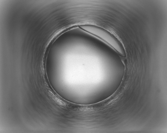 X0000064760789200603031758