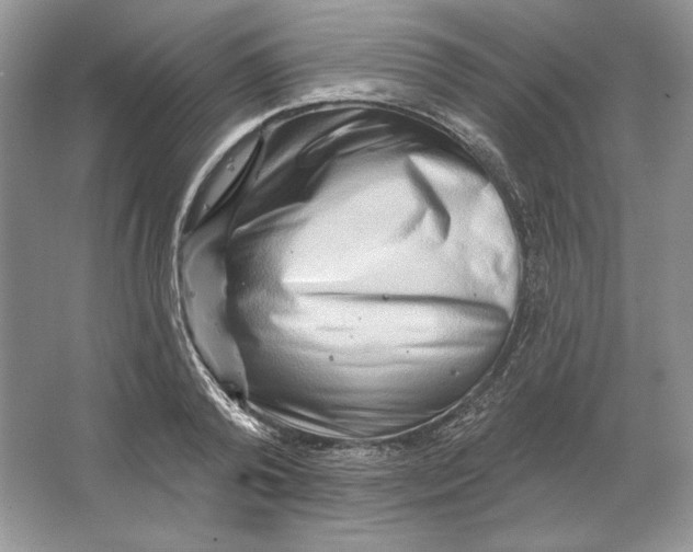 X0000064760792200603031758