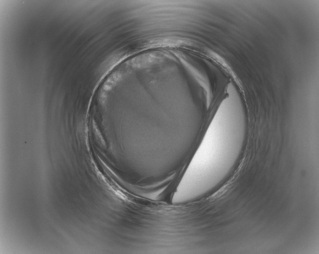 X0000064760802200603031758