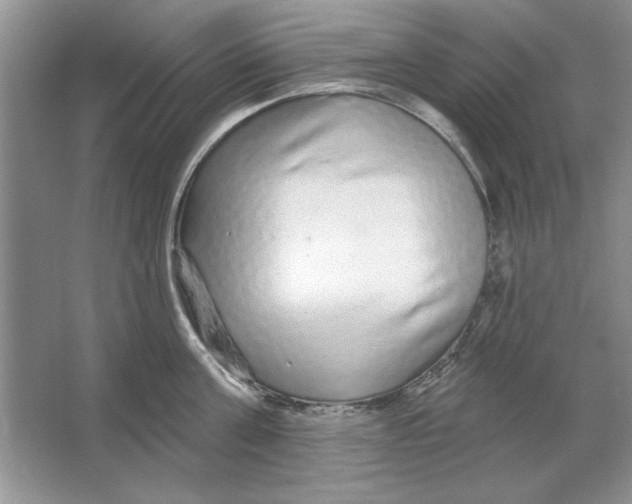 X0000064760811200603031758