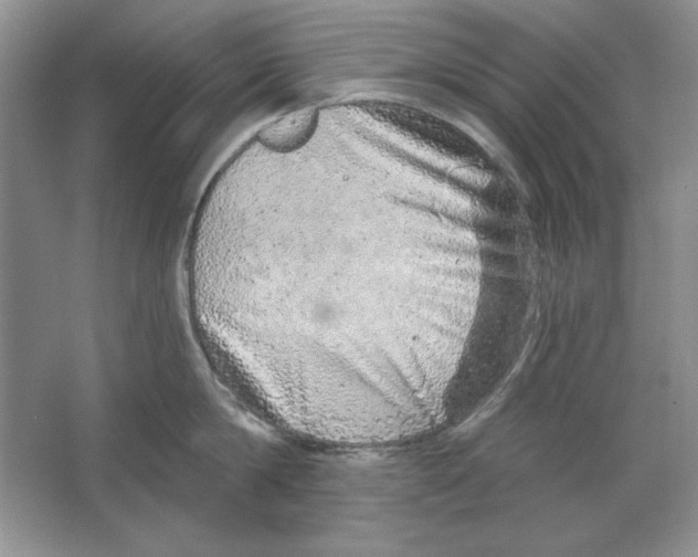X0000064760814200603031758