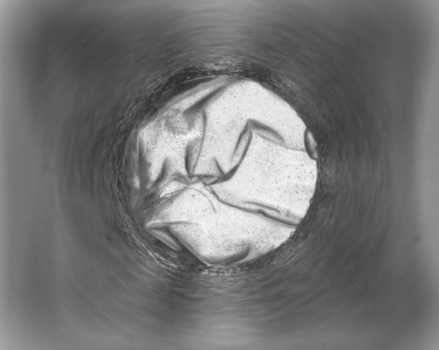X0000064760817200603031757