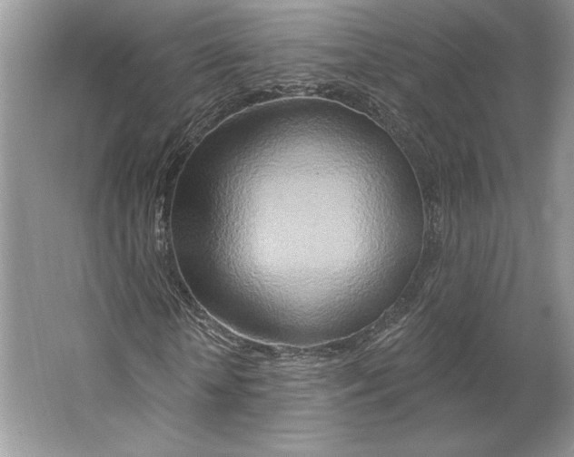 X0000064760818200603031757