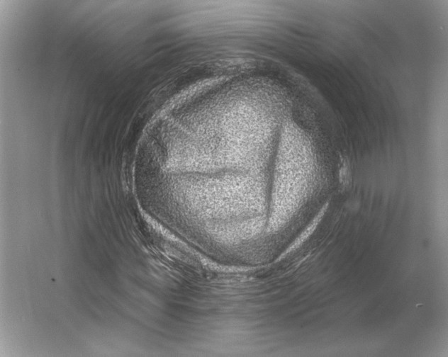 X0000064760819200603031757
