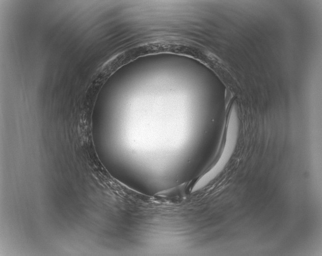 X0000064760822200603031757