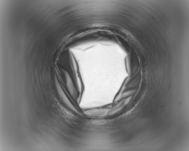 X0000064760825200603031757