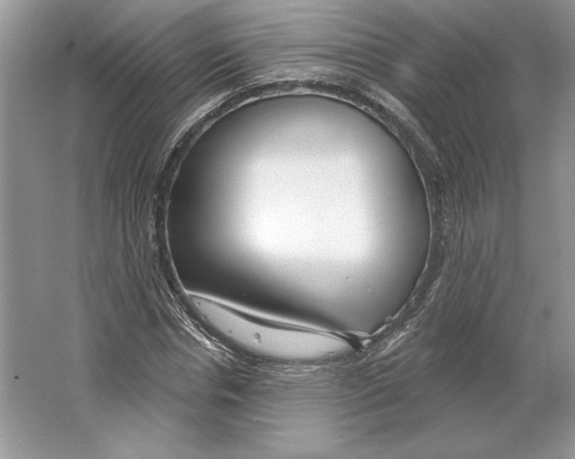 X0000064760826200603031757