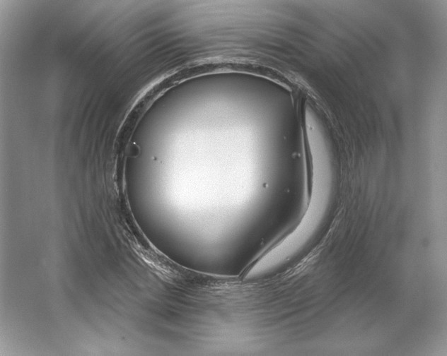 X0000064760830200603031757